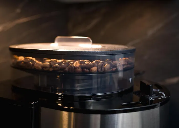 Forest - Nadmorskie Tarasy D409 Appartement *